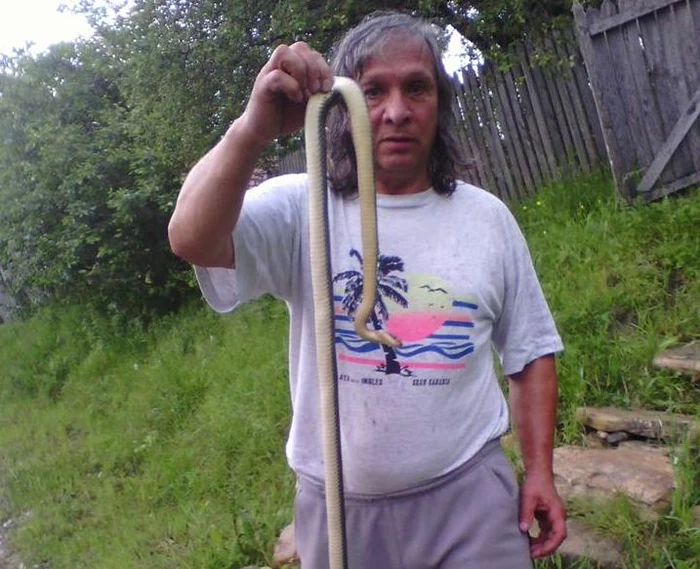 Virgil Bagiu a luat şarpele cu mâna, deşi nu ştia că e neveninosFoto: Iulian Bunilă