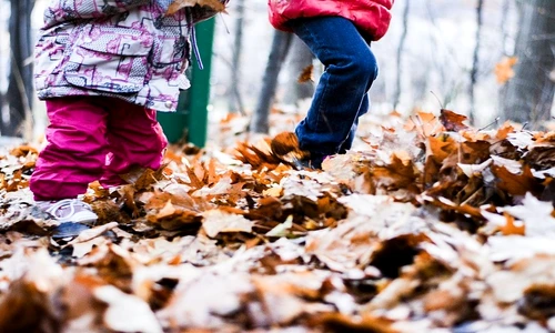 1 77879 original jpg jpeg