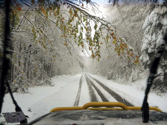 
    În Semenic, stratul de zăpadă este de câţiva centimetri  