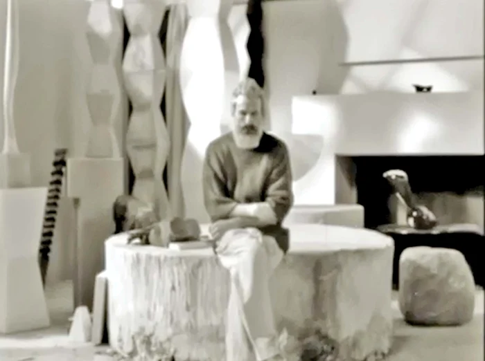 Fotografia “Autoportret” transpusă în clipul publicitar