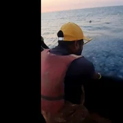 meduze plase pescari captură video Facebook jpg
