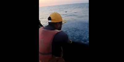 meduze plase pescari captură video Facebook jpg