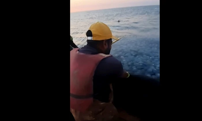 meduze plase pescari captură video Facebook jpg