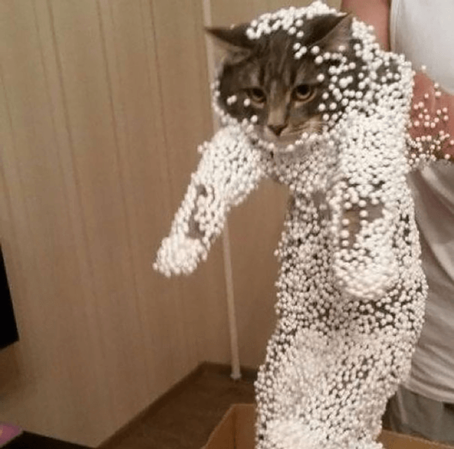 Content image