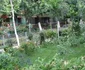 spatii 12