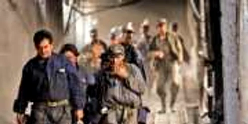 Deţinutul nu s-a prezentat seara la ieşire