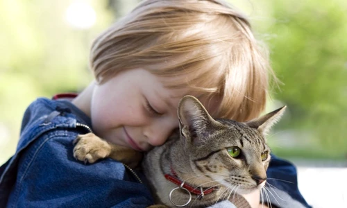 1 80701 original jpg jpeg