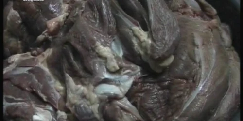 Acum un an, CCCEC a descoperit că micuții de la grădiniță mâncau carne de cal