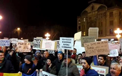 Protest Timisoara 1 februarie 2017 FOTO Stefan Both