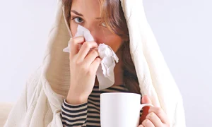 22 23 san shutterstock 306397397 jpeg