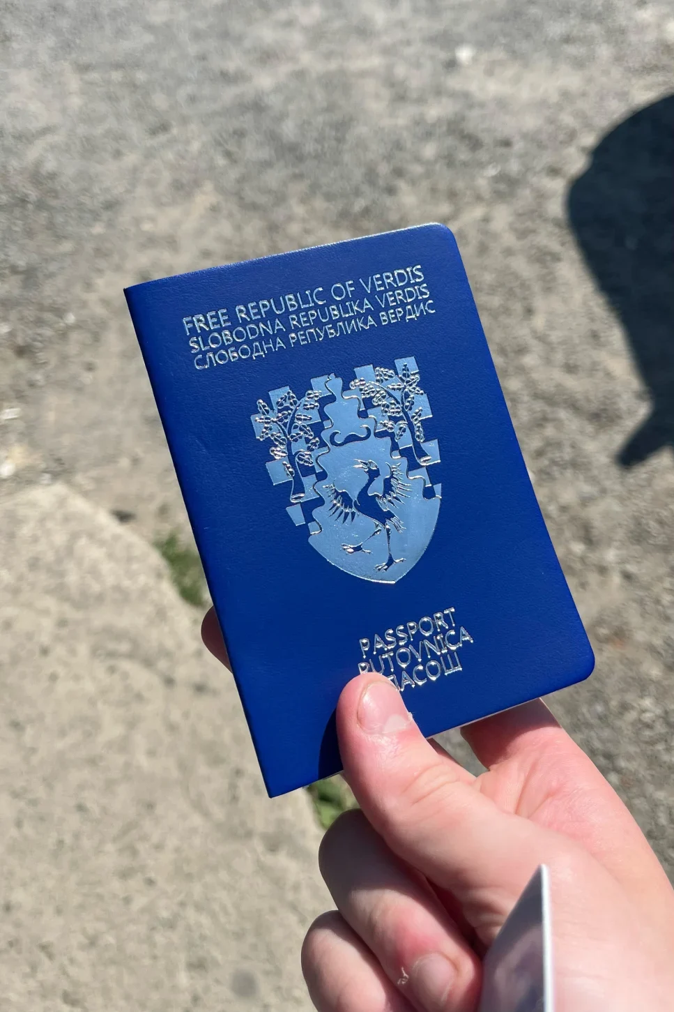 Cel mai tânăr președinte din lume. Bărbatul care revendică formarea unui stat într-un „ținut al nimănui” din Europa