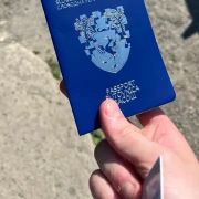 verdisian passport webp