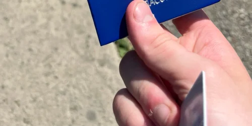 verdisian passport webp