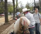 Poneiul Rocky din Parcul Central al Clujului