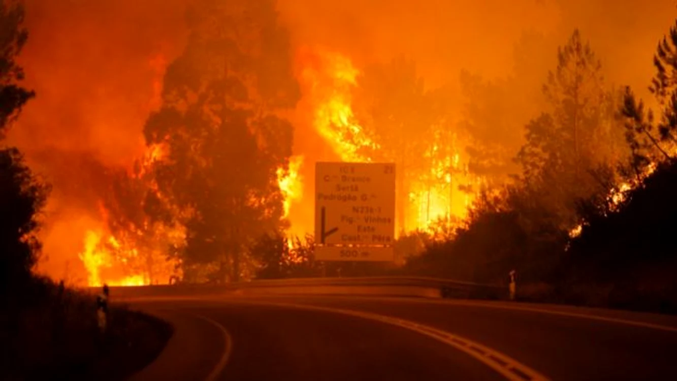
    Incendiul este unul dintre cele mai mari din ultimele decenii  