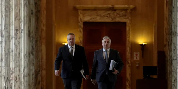  Nicolae Ciuca alaturi de Lucian Bode FOTO Mediafax 