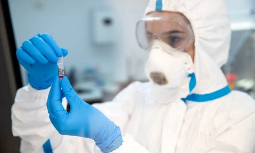 1 regina maria 1 jpg jpeg