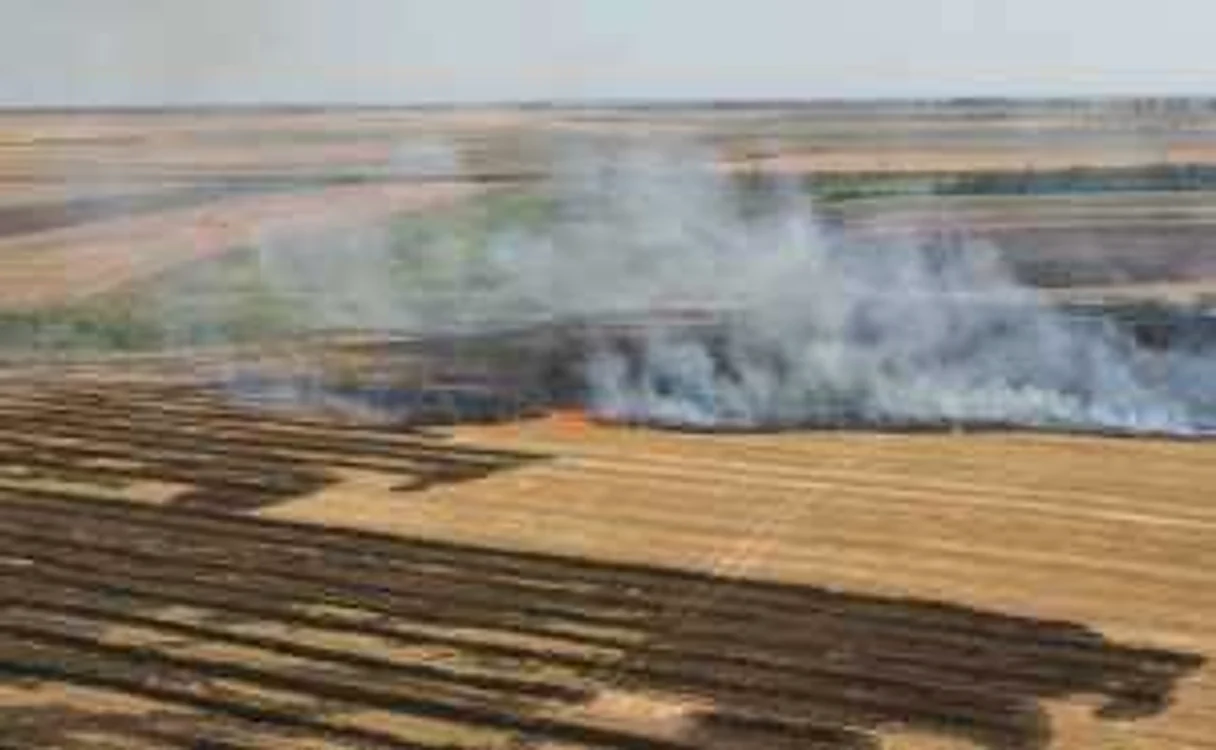 Focul a mistuit 330 de hectare de vegetaţie Foto: Arhivă Adevărul