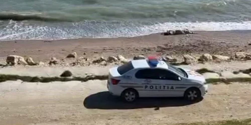 vaca moarta pe o plaja din Constanta, politisti la fata locului VIDEO Facebook mp4 thumbnail png