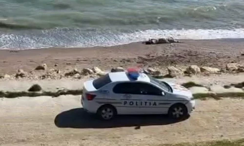 vaca moarta pe o plaja din Constanta, politisti la fata locului VIDEO Facebook mp4 thumbnail png