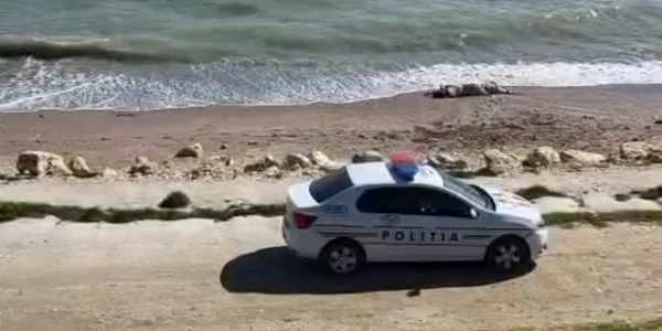 vaca moarta pe o plaja din Constanta, politisti la fata locului VIDEO Facebook mp4 thumbnail png