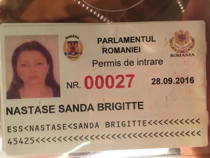 Brigitte Sfăt şi-a făcut un permis special pentru a intra în parlament