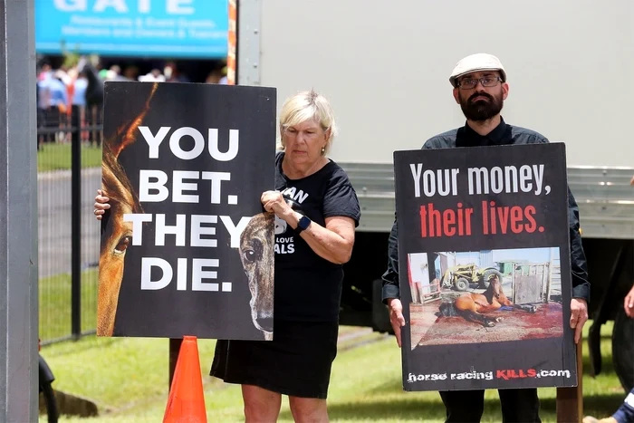 Zara și Mike Tindall în Australia, Profimedia (3) jpg