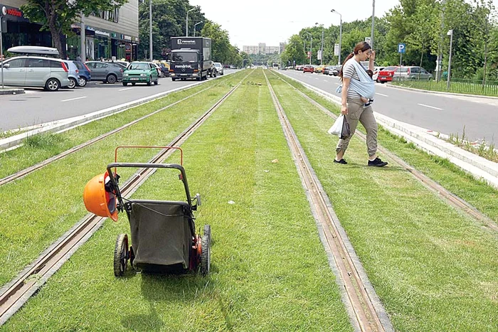 Iunie 2014: Gazonul, de un verde crud, era tuns de  muncitori, chiar dacă  linia de tramvai nu  fusese dată în folosinţă
