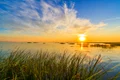plaja salbatica, foto shutterstock jpg