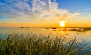 plaja salbatica, foto shutterstock jpg