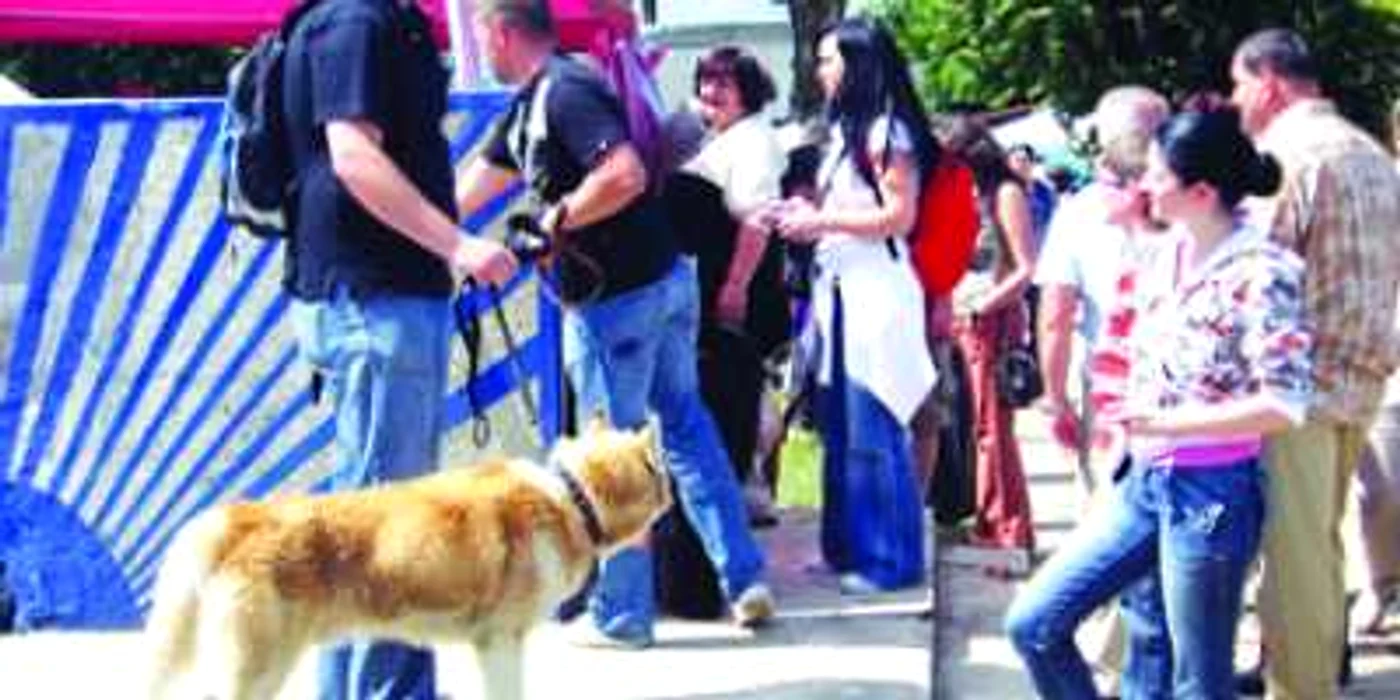 Interzis căţeilor fără acordul vecinilor