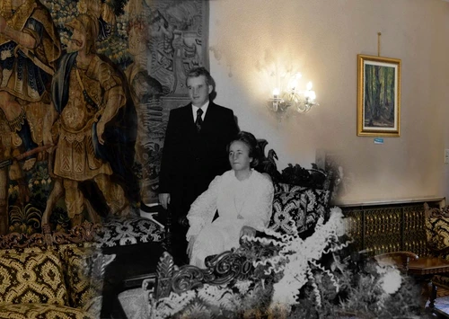 1 palatul primaverii resedinta sotilor ceausescu casa ceausescu 12 jpg jpeg