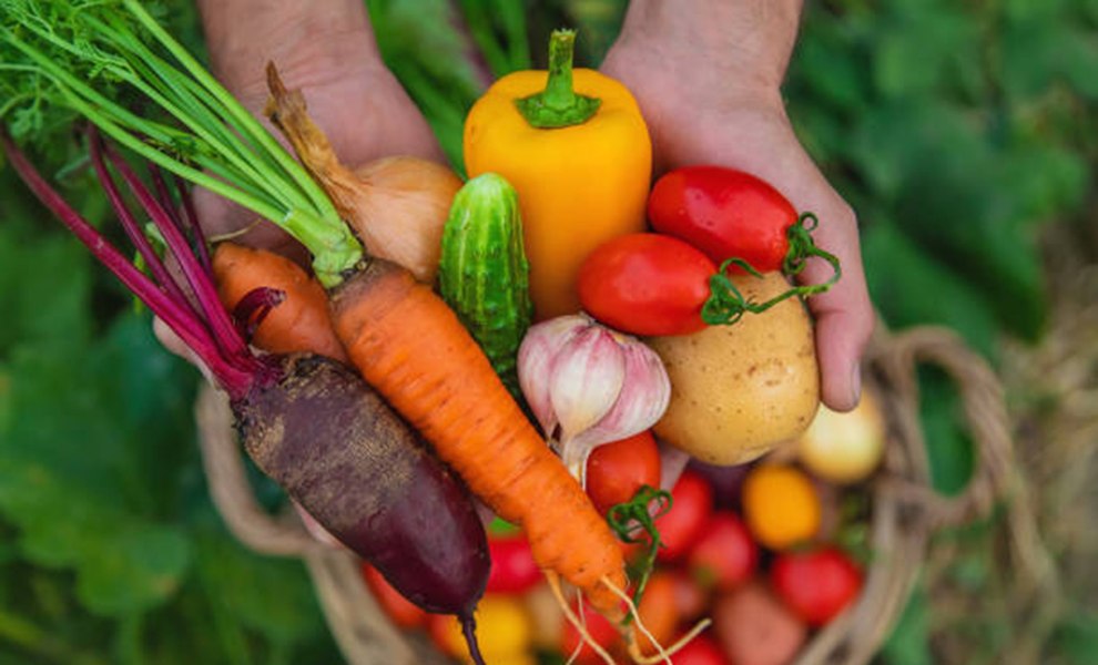 Leguma care concurează cu carnea, în Rusia: prețurile au explodat, transformând un aliment obișnuit într-un produs aproape inaccesibil