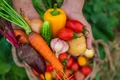 legume istock jpg