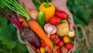 legume istock jpg