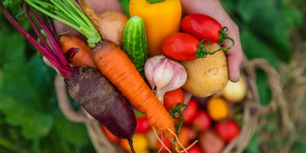 legume istock jpg
