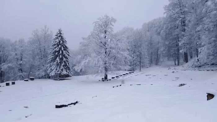 sarmizegetusa regia foto sorin zgavardean facebook