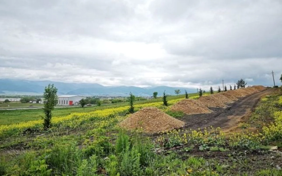 Zona unde ar urma să se construiască cartierul rezidenţial este la mai puţin de 500 metri de ferma avicolă