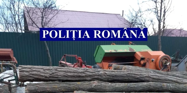 slobozia lemne