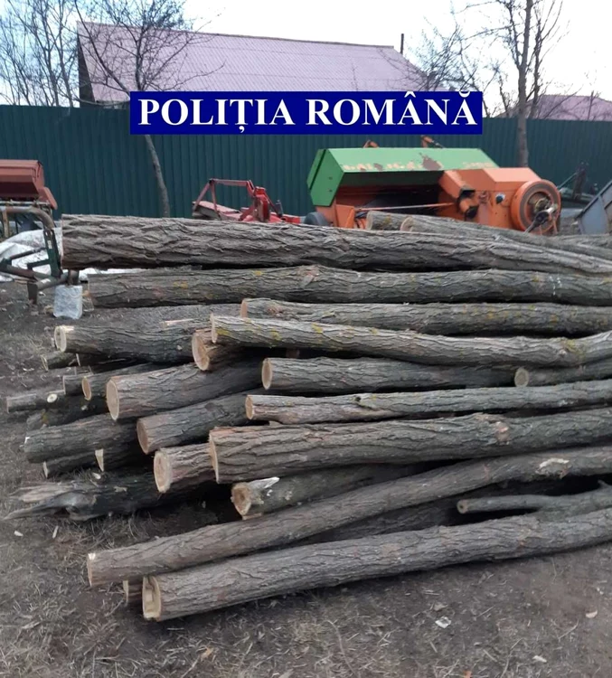 Lemnele au fost găsite la percheziţie FOTO IPJ Ialomiţa