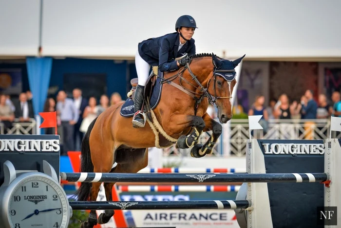 Un cal de performanţă poate costa şi un milion de euro