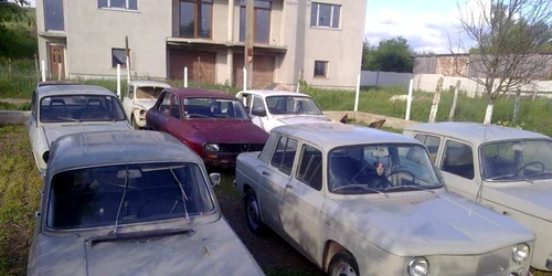 dacia100