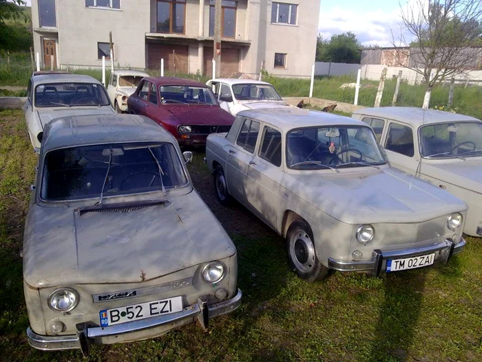 dacia100