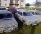 dacia100