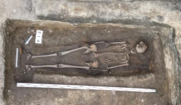 arheologii au descoperit scheletul intreg al unui cavaler medieval sub o fosta gelaterie din polonia 992674 jpg