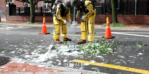 Gunoi Coreea de Sud. Foto: Daum