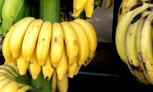 3 banane jpg jpeg