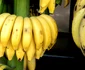 3 banane jpg jpeg