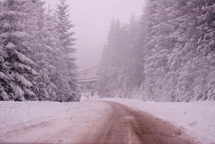 Masini avariate din cauza zapezii de pe carosabil FOTO:Arhiva