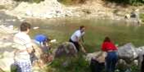 Ecologizarea face parte din proiectul "Voluntari în verde"